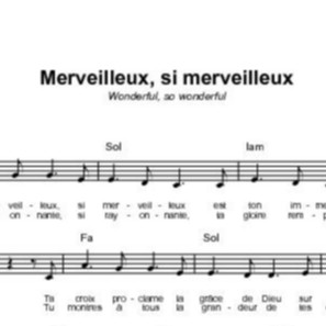 Merveilleux Si Merveilleux Wonderful So Wonderful